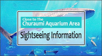 Tourism Information around Churaumi aquarium