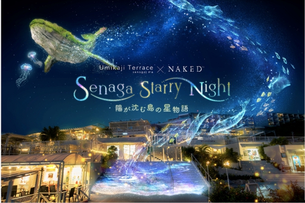 senaga-starry-night
