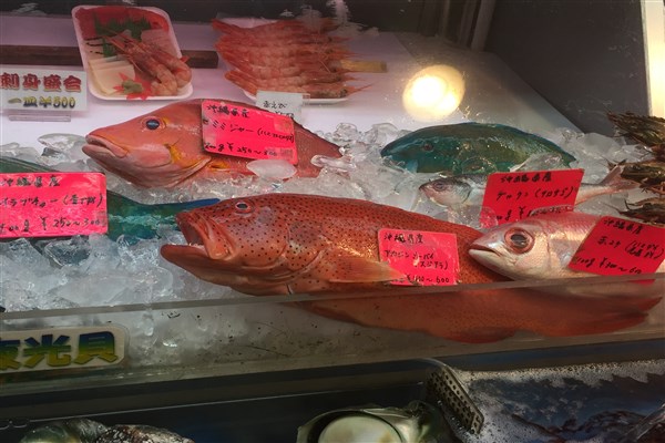 色鮮やかな魚