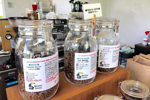 様々なコーヒー豆