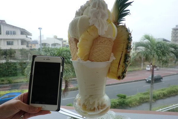 パフェ大きさ比較