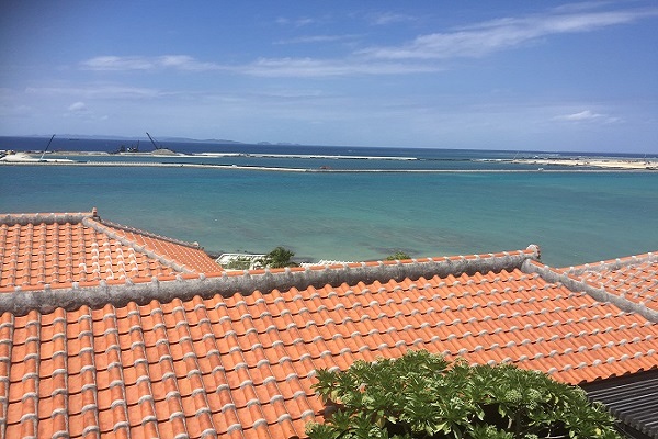 海