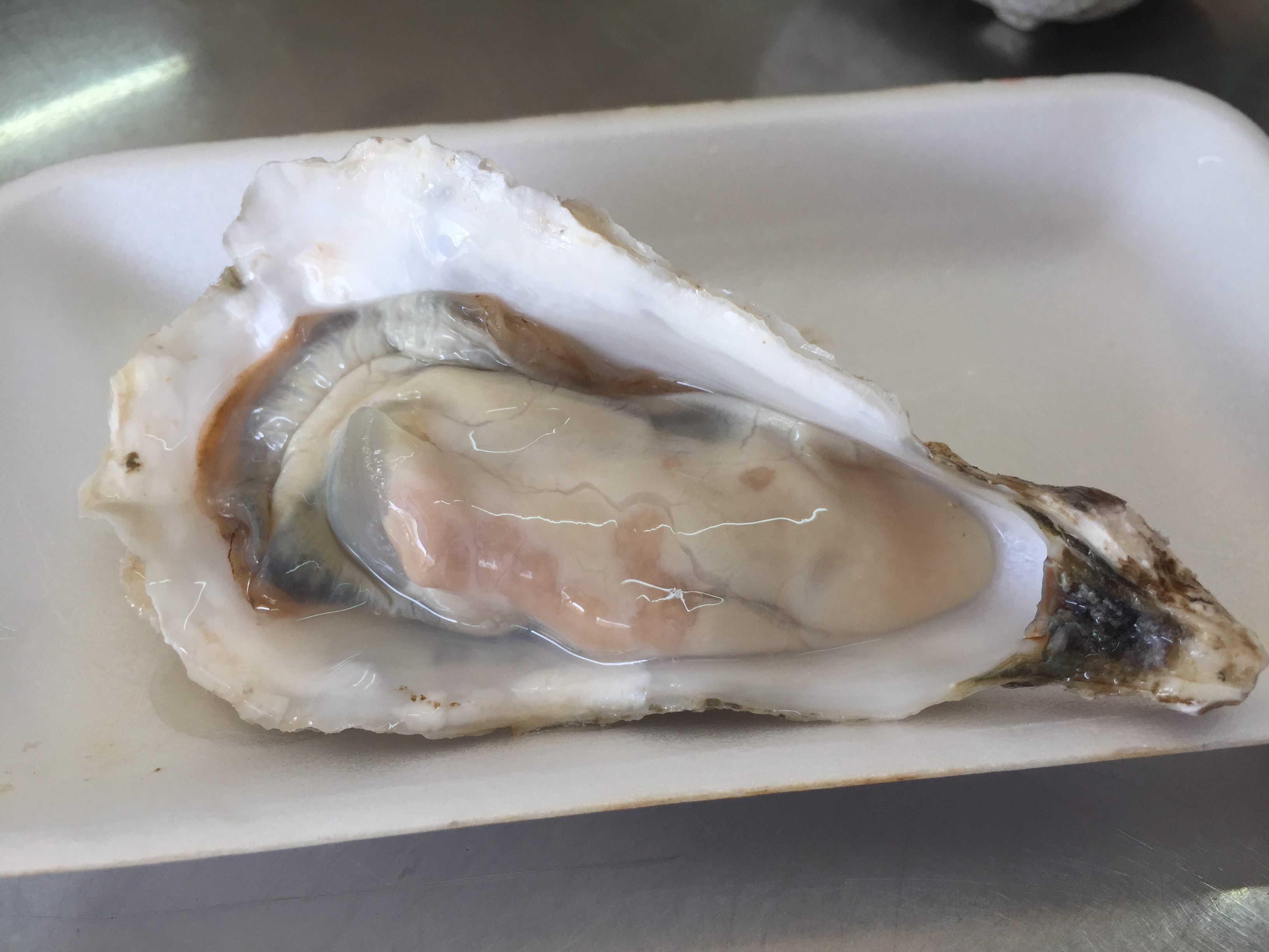生牡蠣