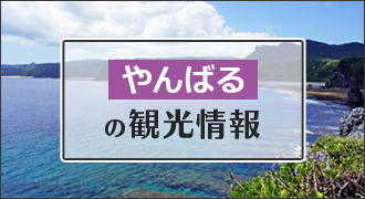 やんばるの観光情報